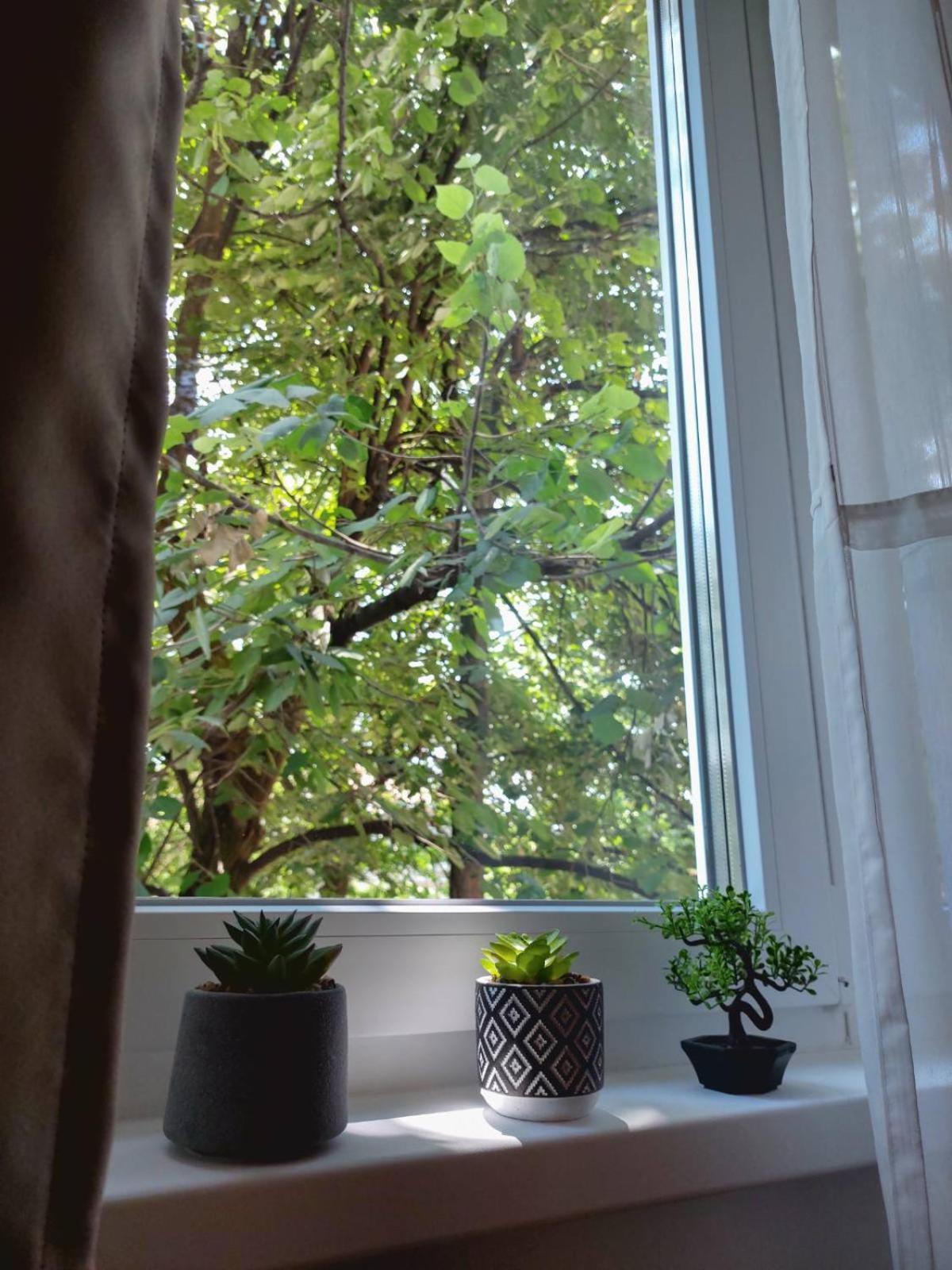 Apartman Rejna Сараево Экстерьер фото